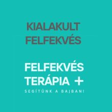 Ricant Decu 500 II Kompresszoros Anticecubitus Felfekvés elleni matrac  50-160kg-ig