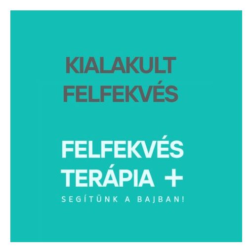 Ricant Decu 500 II Kompresszoros Anticecubitus Felfekvés elleni matrac  50-160kg-ig