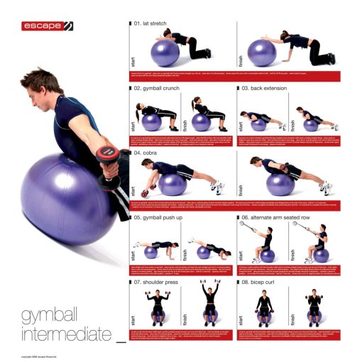 Gimnasztikai labda Durranásmentes QMED FIZIO-BALL 55 cm - Tatásjavító, Üléshez, Rehabilitációhoz