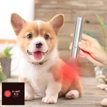 Smart Red - Medical Red Light Therapy - Trispektrum Terápiás Vörösfény készülék 3 hullámhossz (630-660-850NM)